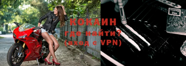 индика Вязьма